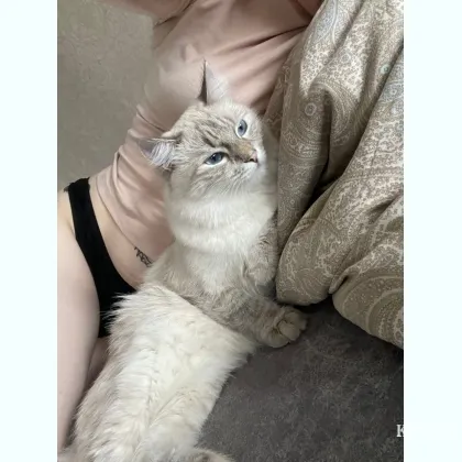 Хотим найти людей для приятного общения фото 1